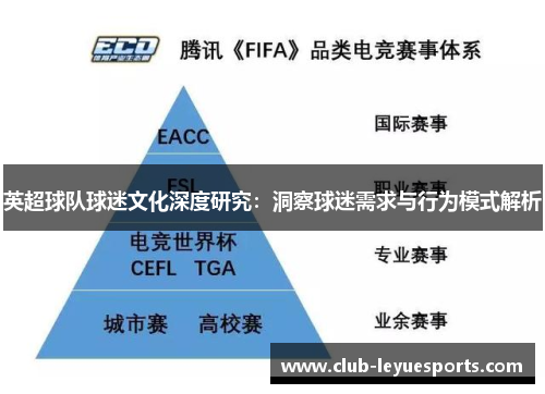 英超球队球迷文化深度研究：洞察球迷需求与行为模式解析