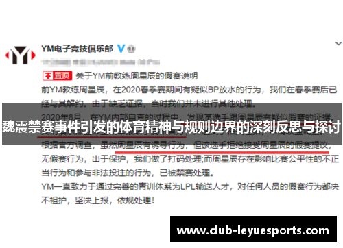 魏震禁赛事件引发的体育精神与规则边界的深刻反思与探讨