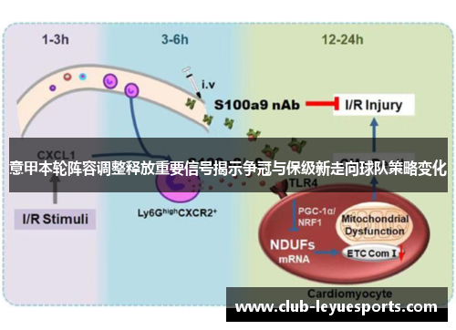 意甲本轮阵容调整释放重要信号揭示争冠与保级新走向球队策略变化