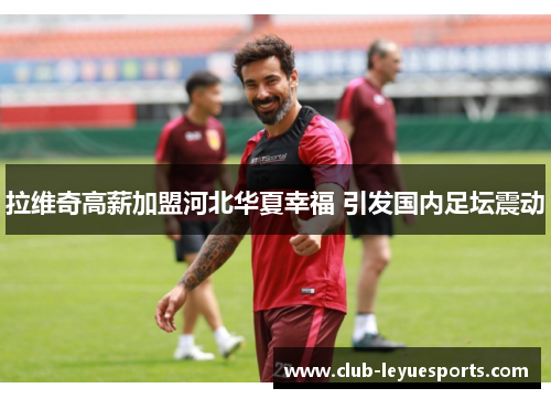 拉维奇高薪加盟河北华夏幸福 引发国内足坛震动 拉维奇高薪加盟河北华夏幸福 引发国内足坛震动